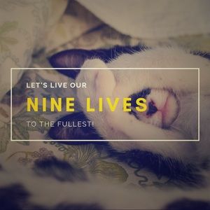 💕Pet friendly shop!😺🐶🐢💕